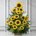 toma la imagen adjunta como base y genera fidty3 1