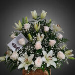 toma la imagen adjunta como base y genera ftk48yan 1