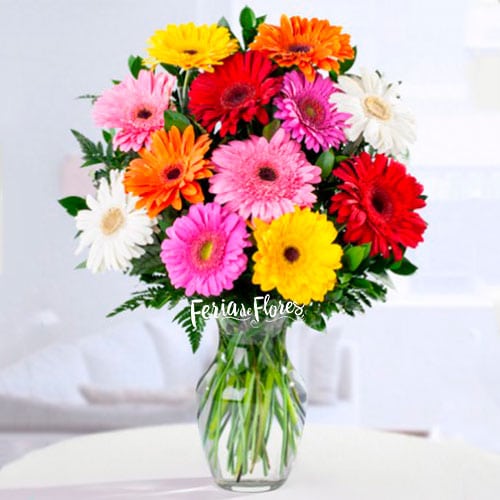 Vase with Multicolored Gerberas