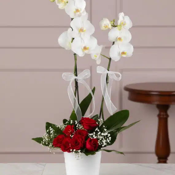 Arreglo Floral BRIANA: Orquídea y Rosas Rojas para Enamorar Arreglo floral BRIANA con orquídeas blancas y rosas rojas, ideal para expresar amor y pasión en cualquier ocasión especial.