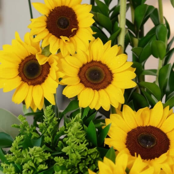 Primer plano extremo de un arreglo floral con girasoles vibrantes, gotas de rocío sutiles y hojas verdes, resaltando la textu