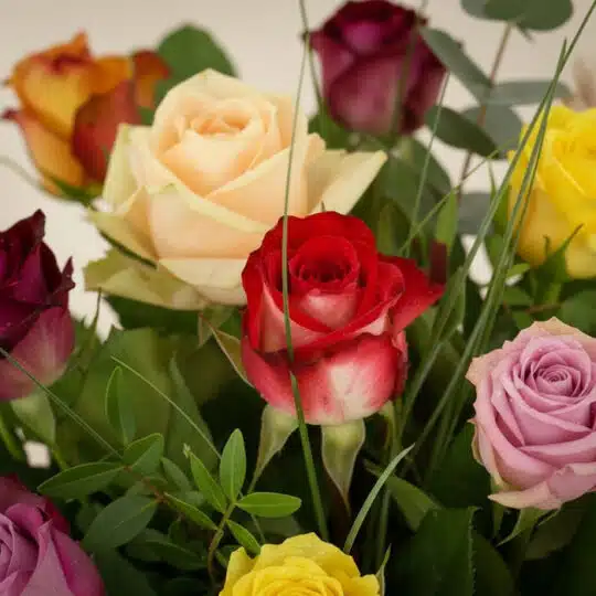 Primer plano extremo de un arreglo floral 'Jarron de Rosas CRISTINA' con rosas de diversos colores (rojo, amarillo, rosa, cre