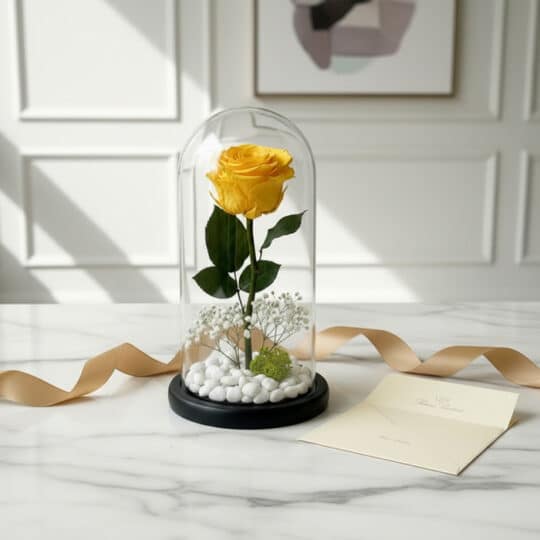 Rosa eterna amarilla en domo de cristal con base negra, rodeada de piedras blancas y musgo, acompañada de una tarjeta de rega